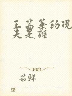 王茜华的现任丈夫是谁