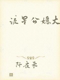 流星公媳大结局