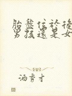 胎盘位于后壁生男孩还是女孩