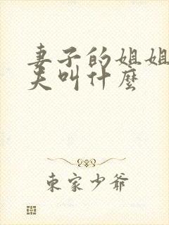 妻子的姐姐的丈夫叫什么