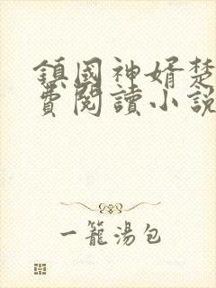 镇国神婿楚尘免费阅读小说无弹窗