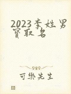 2023李姓男宝取名