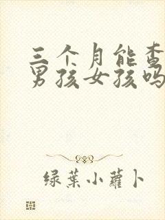 三个月能查出来男孩女孩吗