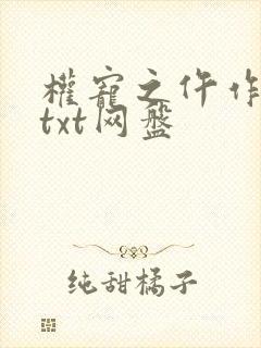 权宠之仵作医妃txt网盘