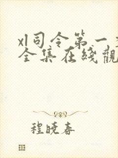 xl司令第一季全集在线观