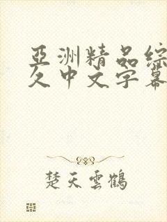 亚洲精品综合久久中文字幕