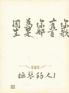 因为你有你的人生是哪首歌的歌词