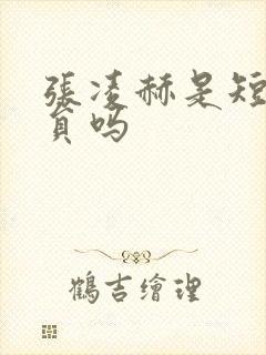 张凌赫是短剧演员吗