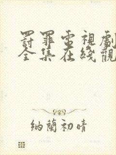 罚罪电视剧免费全集在线观看高清