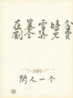 在暴雪时分电视剧全集免费