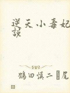 逆天小毒妃 小说