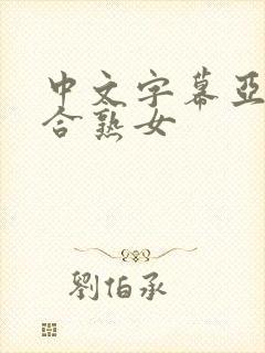 中文字幕亚洲综合熟女