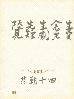 陆先生余生不再见短剧免费看