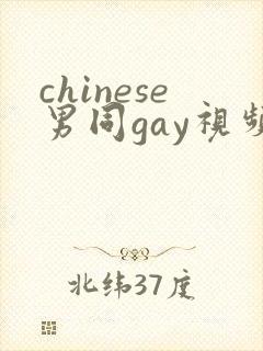 chinese男同gay视频网站封面