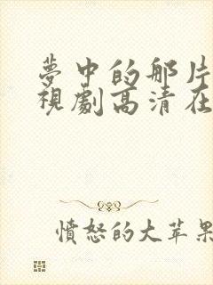 梦中的那片海电视剧高清在线播放