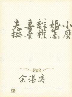 夫妻离婚小孩的抚养权怎么判封面