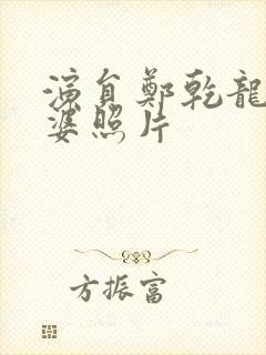 演员郑乾龙的老婆照片封面