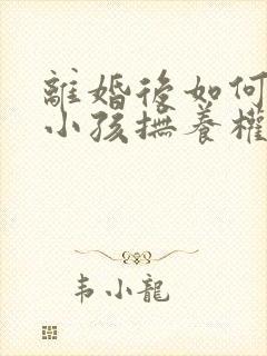 离婚后如何争取小孩抚养权封面