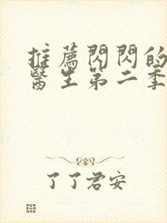 推荐闪闪的儿科医生第二季全集