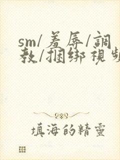 sm/羞辱/调教/捆绑视频封面