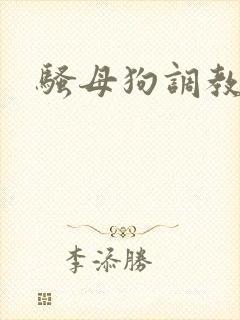 骚母狗调教h封面