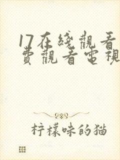 17在线观看免费观看电视剧高清