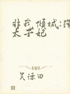 非我倾城:独宠太子妃封面