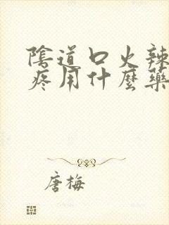 阴道口火辣辣的疼用什么药