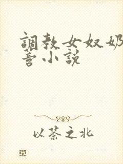 调教女奴奶头阴蒂小说