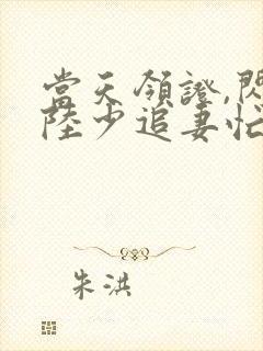 当天领证,闪婚陆少追妻忙