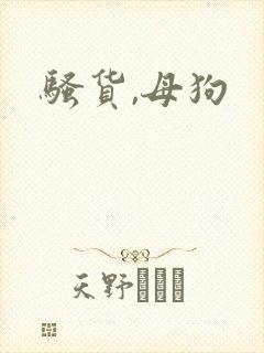 骚货,母狗