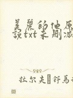 美丽的他原著小说txt未删减