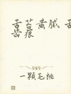 舌苔黄腻 舌边齿痕