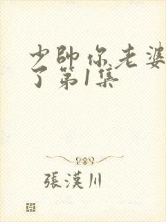 少帅你老婆又跑了第1集