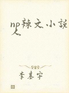 np辣文小说多人封面