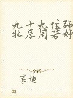 九十九位师傅叶北辰周若妤封面