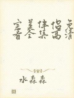 完美伴侣免费观看全集高清版