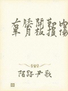 右膝关节内外侧半月板损伤二度