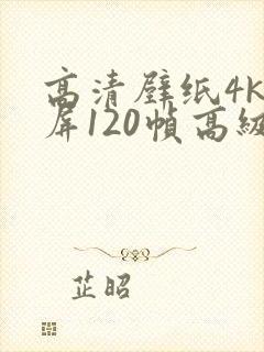 高清壁纸4k全屏120帧高级感女平板封面