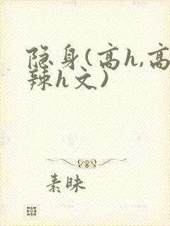 隐身(高h,高辣h文)