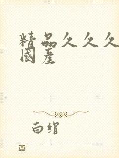 精品久久久久久国产