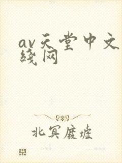 av天堂中文在线网