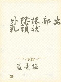 外阴根部出现小乳头状