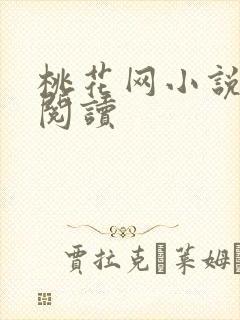 桃花网小说在线阅读