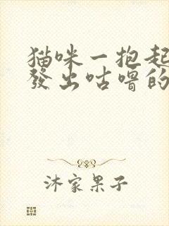 猫咪一抱起来就发出咕噜的声音