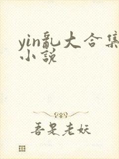 yin乱大合集小说