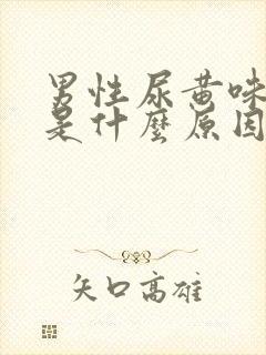 男性尿黄味道重是什么原因封面