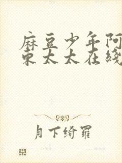 麻豆少年阿宾房东太太在线观看