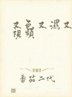 又色又湿又黄的视频