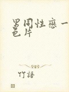 男同性恋一级黄色片封面